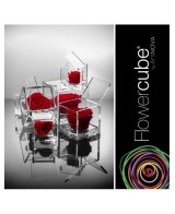 Flowercube Rosa 6x6 con Packaging Rojo Regalo Floral Elegante y Sofisticado