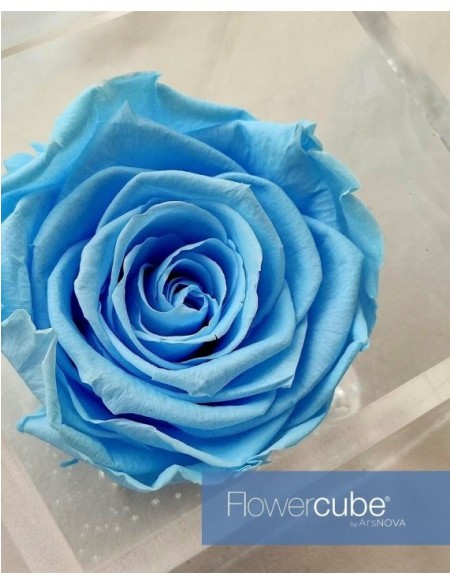 Flowercube Rosa 6x6 Packaging Azul Cielo Regalo Floral Elegante