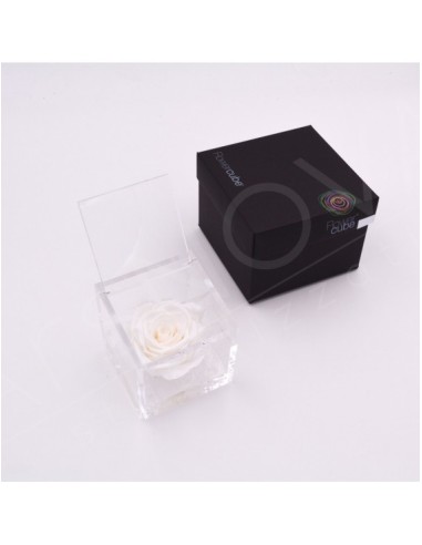 Flowercube Rosa 8x8 Packaging Blanco Regalo Elegante Flores Preservadas