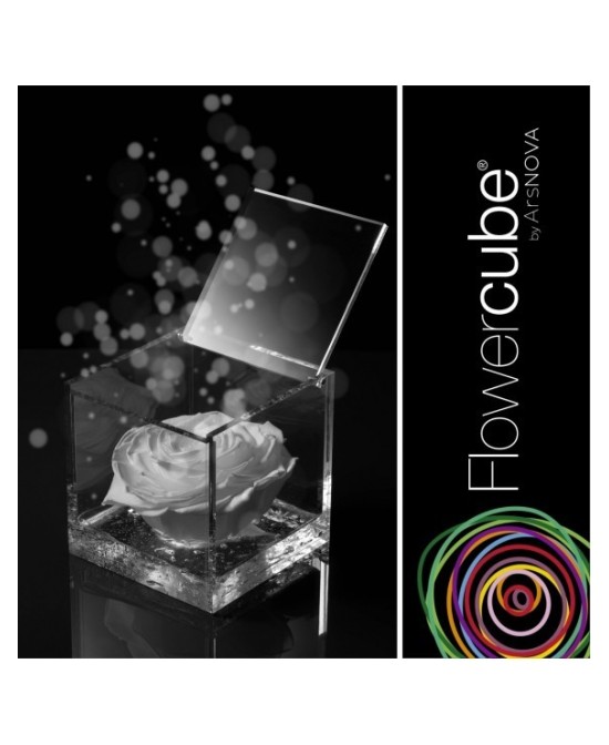 Flowercube Rosa 8x8 Packaging Blanco Regalo Elegante Flores Preservadas
