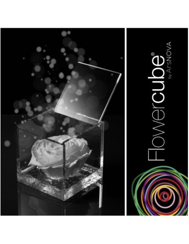 Flowercube Rosa 8x8 Packaging Blanco Regalo Elegante Flores Preservadas