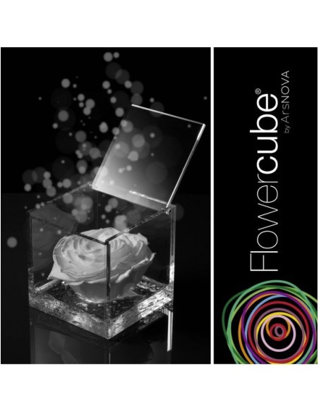 Flowercube Rosa 8x8 Packaging Blanco Regalo Elegante Flores Preservadas