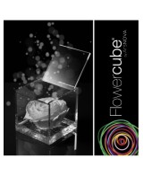 Flowercube Rosa 8x8 Packaging Blanco Regalo Elegante Flores Preservadas