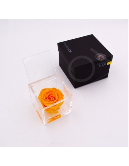 Flowercube Rosa 8x8 con Packaging Amarillo Regalo Floral Duradero