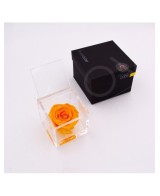 Flowercube Rosa 8x8 con Packaging Amarillo Regalo Floral Duradero