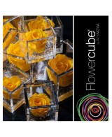 Flowercube Rosa 8x8 con Packaging Amarillo Regalo Floral Duradero
