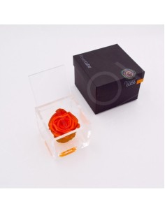 Flowercube Rosa 8x8 Packaging Naranja Regalo Floral Elegante y Sofisticado