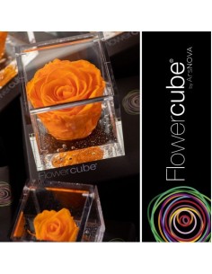 Flowercube Rosa 8x8 Packaging Naranja Regalo Floral Elegante y Sofisticado 2