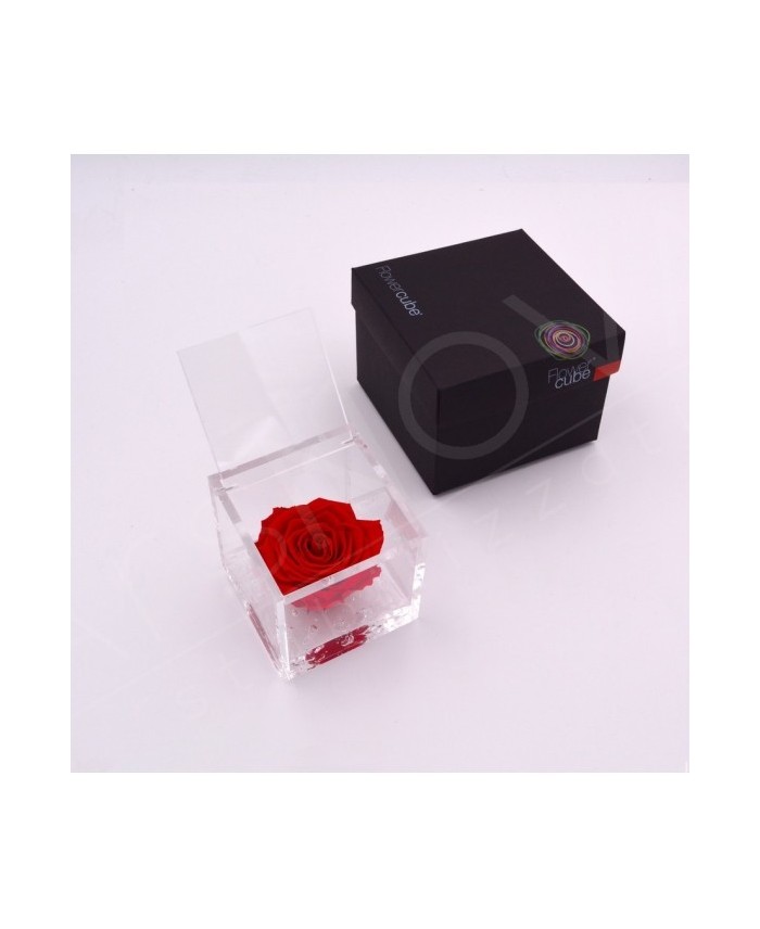 Flowercube Rosa 8x8 con Packaging Rojo | Rosa Preservada Elegante | Endanea Garden