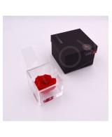 Flowercube Rosa 8x8 con Packaging Rojo | Rosa Preservada Elegante | Endanea Garden