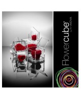 Flowercube Rosa 8x8 con Packaging Rojo | Rosa Preservada Elegante | Endanea Garden