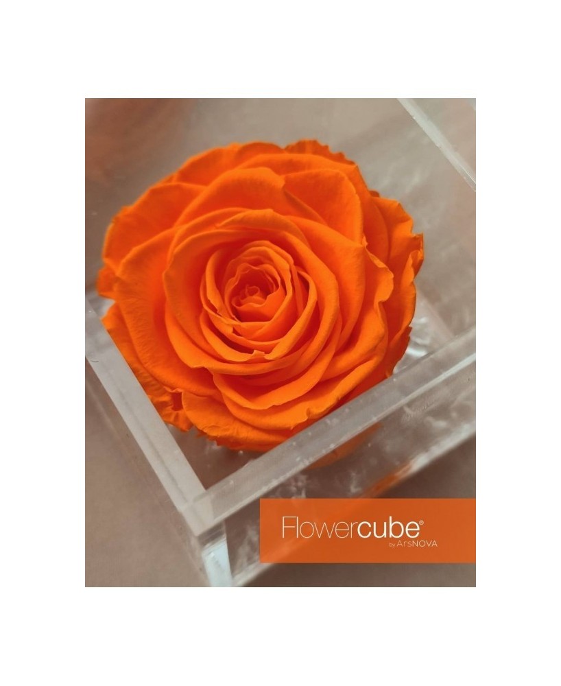 Flowercube Rosa 10x10 Packaging Naranja Regalo Floral Elegante