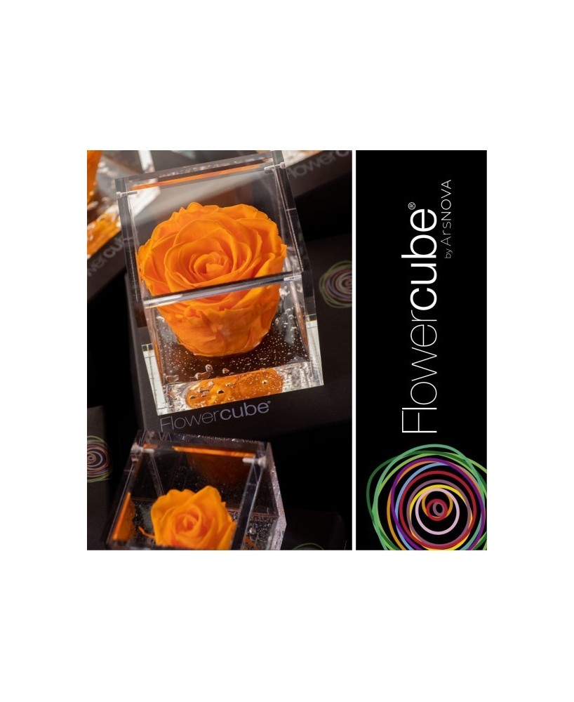 Flowercube Rosa 10x10 Packaging Naranja Regalo Floral Elegante
