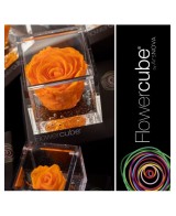 Flowercube Rosa 10x10 Packaging Naranja Regalo Floral Elegante