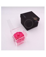Flowercube Rosa 10x10 Packaging Rosa Regalo Floral Elegante y Duradero