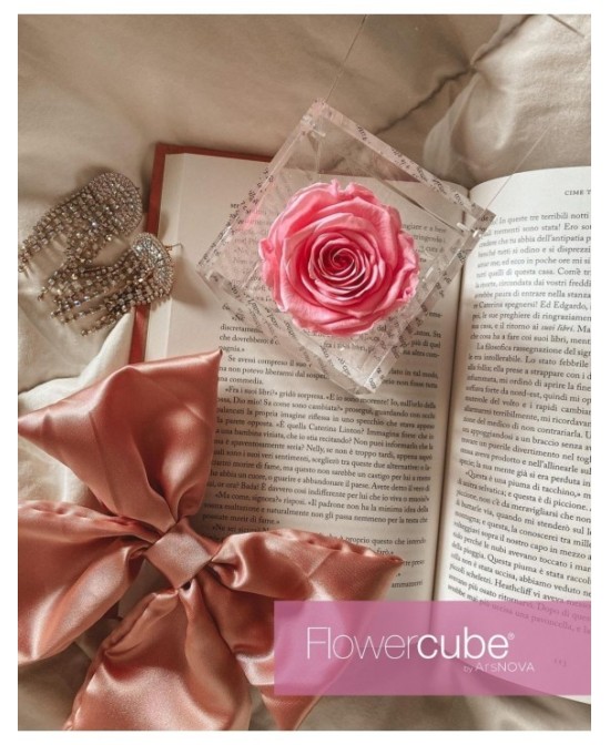 Flowercube Rosa 10x10 Packaging Rosa Regalo Floral Elegante y Duradero