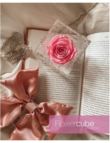 Flowercube Rosa 10x10 Packaging Rosa Regalo Floral Elegante y Duradero