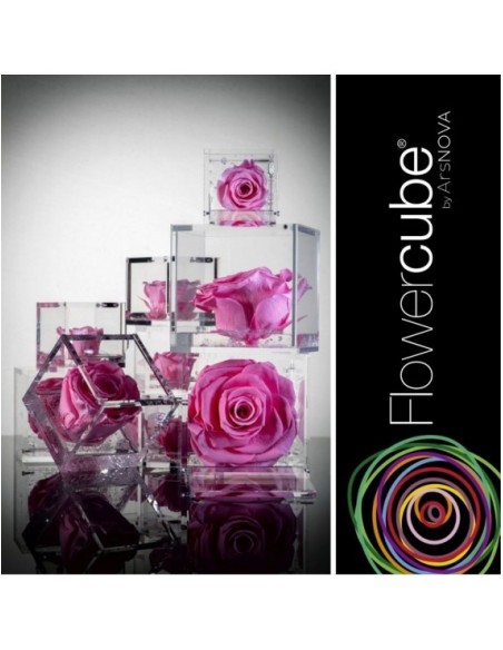 Flowercube Rosa 10x10 Packaging Rosa Regalo Floral Elegante y Duradero