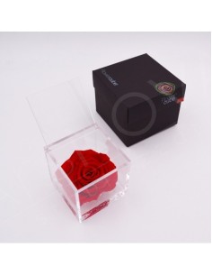 Flowercube Rosa 10x10 Packaging Rojo Regalo Floral Sofisticado