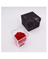 Flowercube Rosa 10x10 Packaging Rojo Regalo Floral Sofisticado