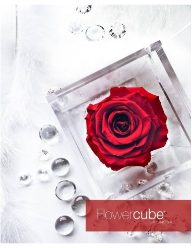 Flowercube Rosa 10x10 Packaging Rojo Regalo Floral Sofisticado
