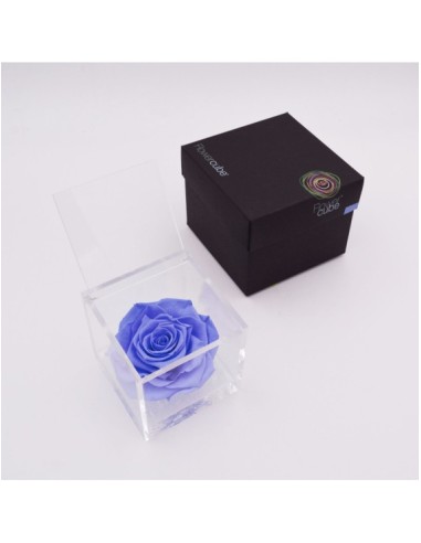 Flowercube Rosa 10x10 Packaging Azul Claro Regalo Elegante Flores Preservadas