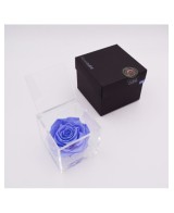 Flowercube Rosa 10x10 Packaging Azul Claro Regalo Elegante Flores Preservadas