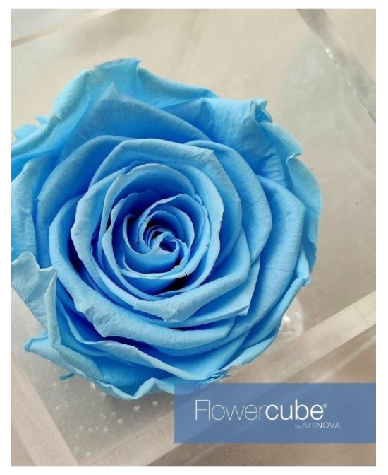 Flowercube Rosa 10x10 Packaging Azul Claro Regalo Elegante Flores Preservadas