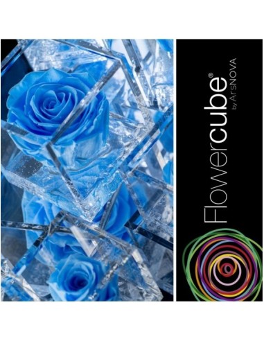 Flowercube Rosa 10x10 Packaging Azul Claro Regalo Elegante Flores Preservadas