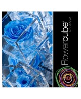 Flowercube Rosa 10x10 Packaging Azul Claro Regalo Elegante Flores Preservadas
