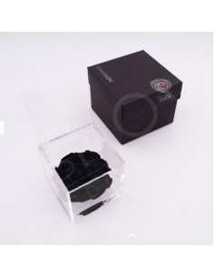 Flowercube Rosa 10x10 Packaging Negro Regalo Elegante Flores Preservadas