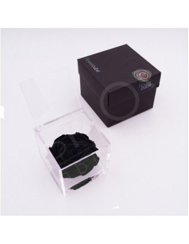 Flowercube Rosa 10x10 Packaging Negro Regalo Elegante Flores Preservadas