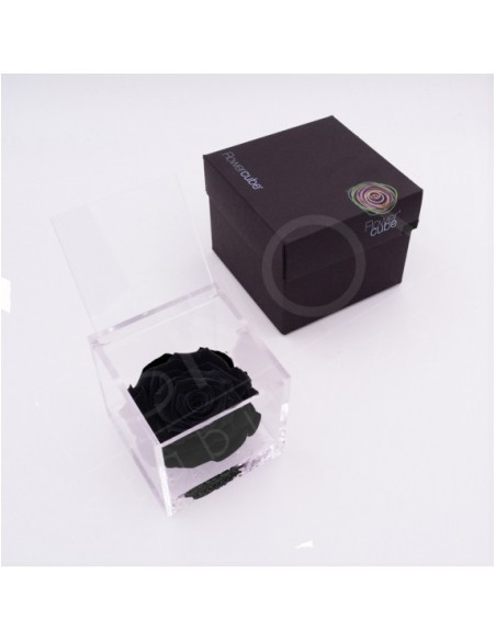 Flowercube Rosa 10x10 Packaging Negro Regalo Elegante Flores Preservadas