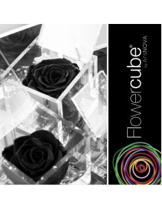 Flowercube Rosa 10x10 Packaging Negro Regalo Elegante Flores Preservadas 2