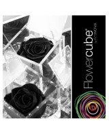 Flowercube Rosa 10x10 Packaging Negro Regalo Elegante Flores Preservadas