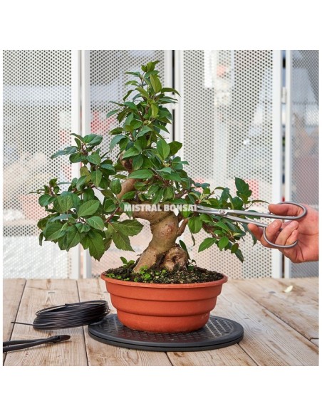 Torno Redondo 400 mm Mistral para Bonsáis Jardinería y Manualidades