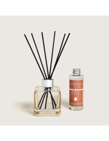 Bouquet Glacon A O Animaux 1L Ambientador para Hogares con Mascotas