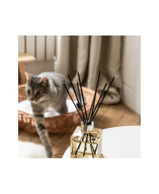 Bouquet Glacon A O Animaux 1L Ambientador para Hogares con Mascotas