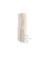 Amaranthus Dijon Oro 40/70 Planta Ornamental Dorada para Jardín y Terraza