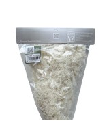 Ming Fern Blanco 30/50 Planta Ornamental Elegante y Fácil de Cuidar