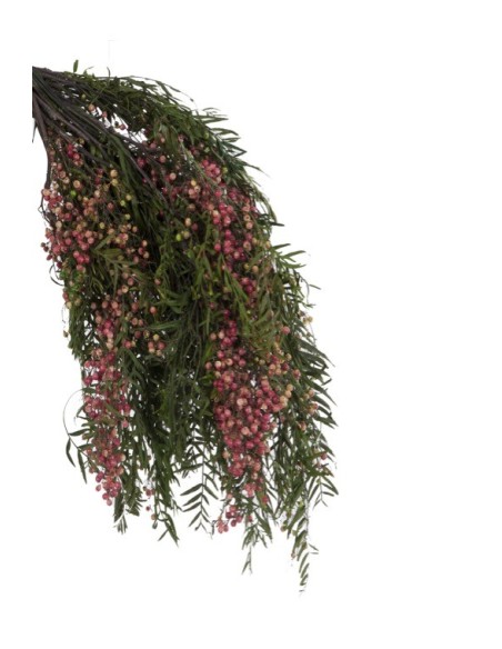 Pepertre Fruits Verde Planta Ornamental para Jardín Terraza y Macetero