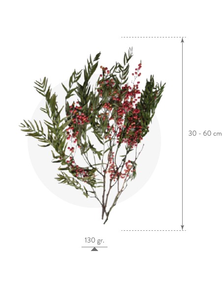 Pepertre Fruits Verde Planta Ornamental para Jardín Terraza y Macetero