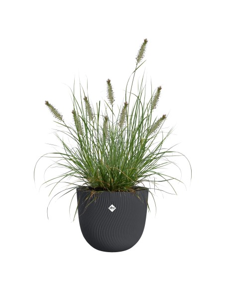 Maceta redonda antracita | Diseño moderno y resistente para interior y exterior