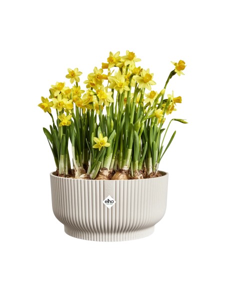 Maceta bol 25 cm blanco lino | Elegancia y estilo moderno para plantas