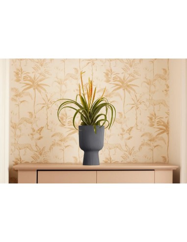 Maceta moderna 14 cm color antracita | Interior y exterior | Endanea Garden
