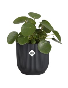 Maceta redonda 16 cm antracita | Interior y exterior | Endanea Garden 2