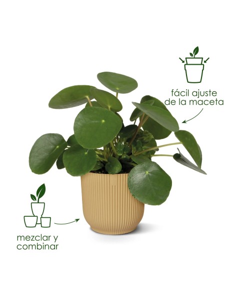 Maceta Vibes Fold Redonda 22 cm Blanco Lino Diseño Moderno y Minimalista
