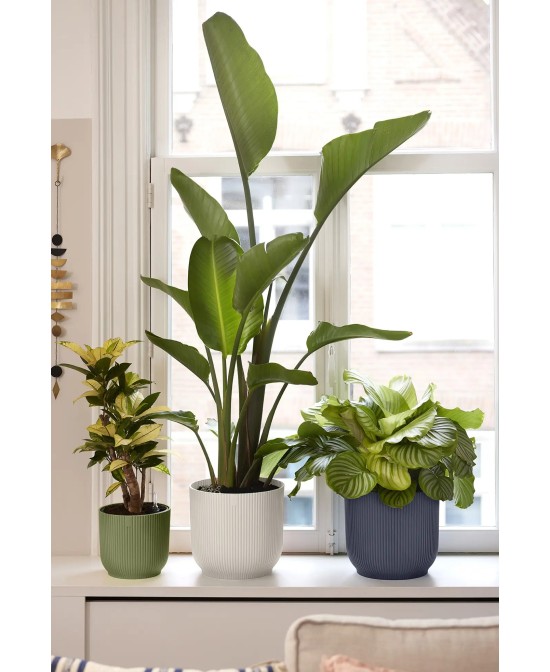 Maceta Vibes Fold Redonda 30cm Antracita Comprar Endanea Garden
