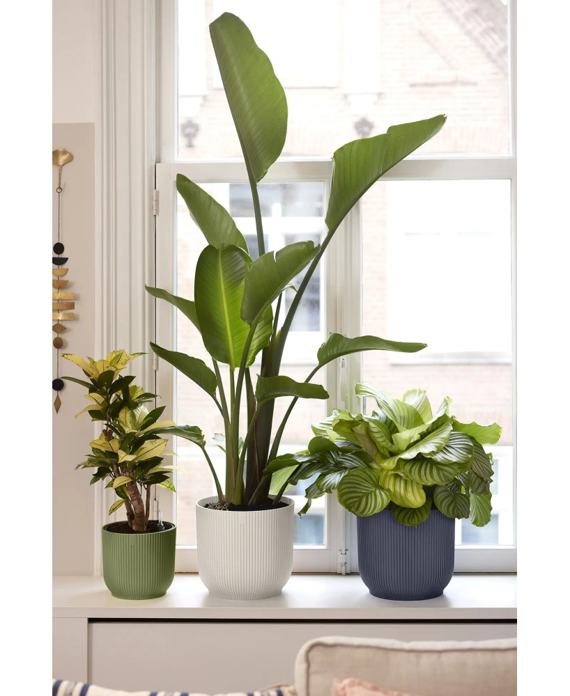 Maceta Vibes Fold Redonda 30cm Antracita Comprar Endanea Garden