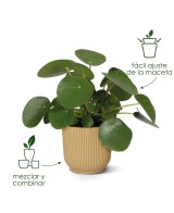 Maceta Vibes Fold Redonda 30cm Antracita Comprar Endanea Garden